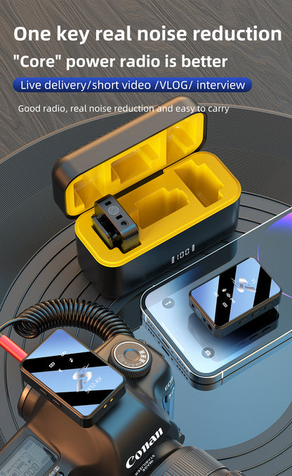 Wireless Microphone Kit